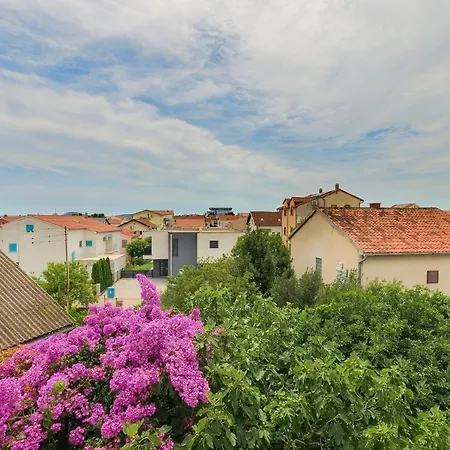 Miljenka Vodice