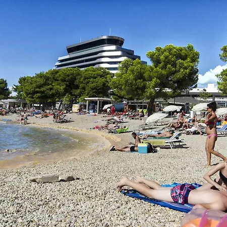 Miljenka Vodice