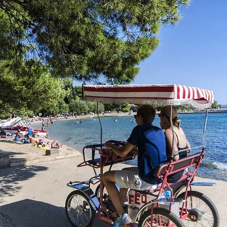 Miljenka Vodice