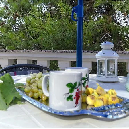 Miljenka Vodice