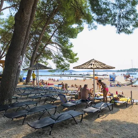 Miljenka Vodice
